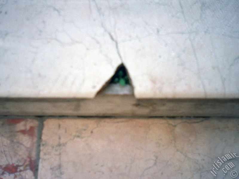 A plant growing through the crack of the marble steps of a mosque in Istanbul city of Turkey.
