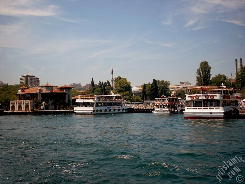 View of Besiktas jetty and Sinan Pasha Mosque its behind from the Bosphorus in Istanbul city of Turkey.
