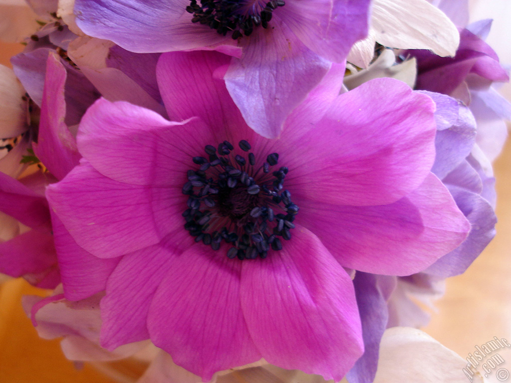 A bouquet consisting of purple flowers.
