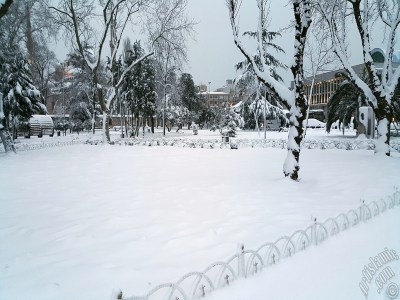 Special winter and snow photos taken on 19.Februrary.2015 morning in eight districts of Istanbul city of Turkey. The names of the districts are: Fatih, Zeyrek, Persembe Pazari, Eminonu, Karakoy, Cihangir, Findikli, Kabatas. (Detailed information about this photo will be added later.) (The picture was taken by Artislamic.com in 2015.)