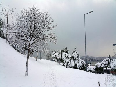 Special winter and snow photos taken on 19.Februrary.2015 morning in eight districts of Istanbul city of Turkey. The names of the districts are: Fatih, Zeyrek, Persembe Pazari, Eminonu, Karakoy, Cihangir, Findikli, Kabatas. (Detailed information about this photo will be added later.) (The picture was taken by Artislamic.com in 2015.)