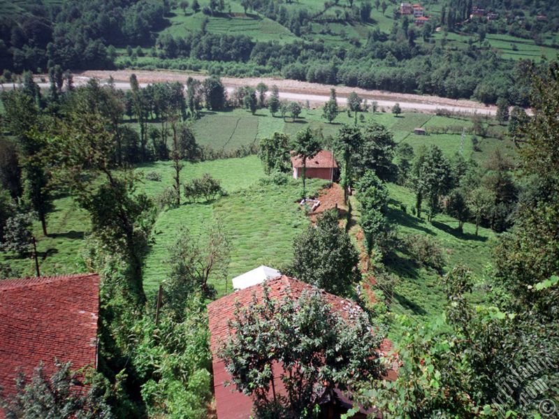 View of village from `OF district` in Trabzon city of Turkey.
