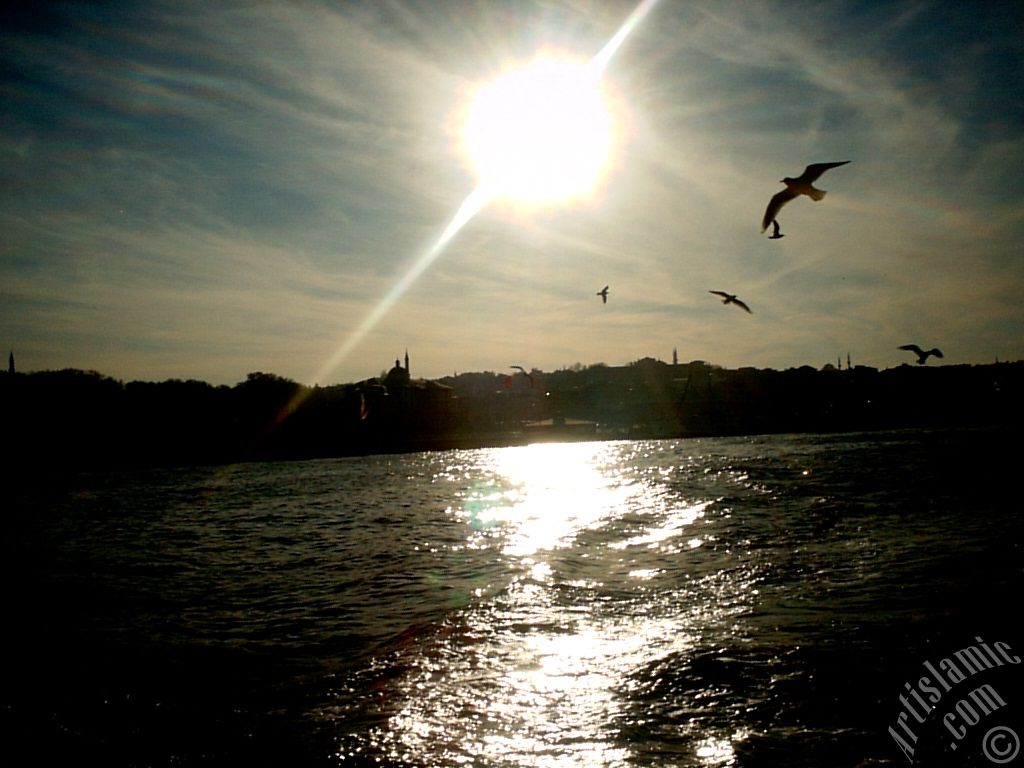 View of Eminonu coast and the sea gulls from the sea in Istanbul city of Turkey.
