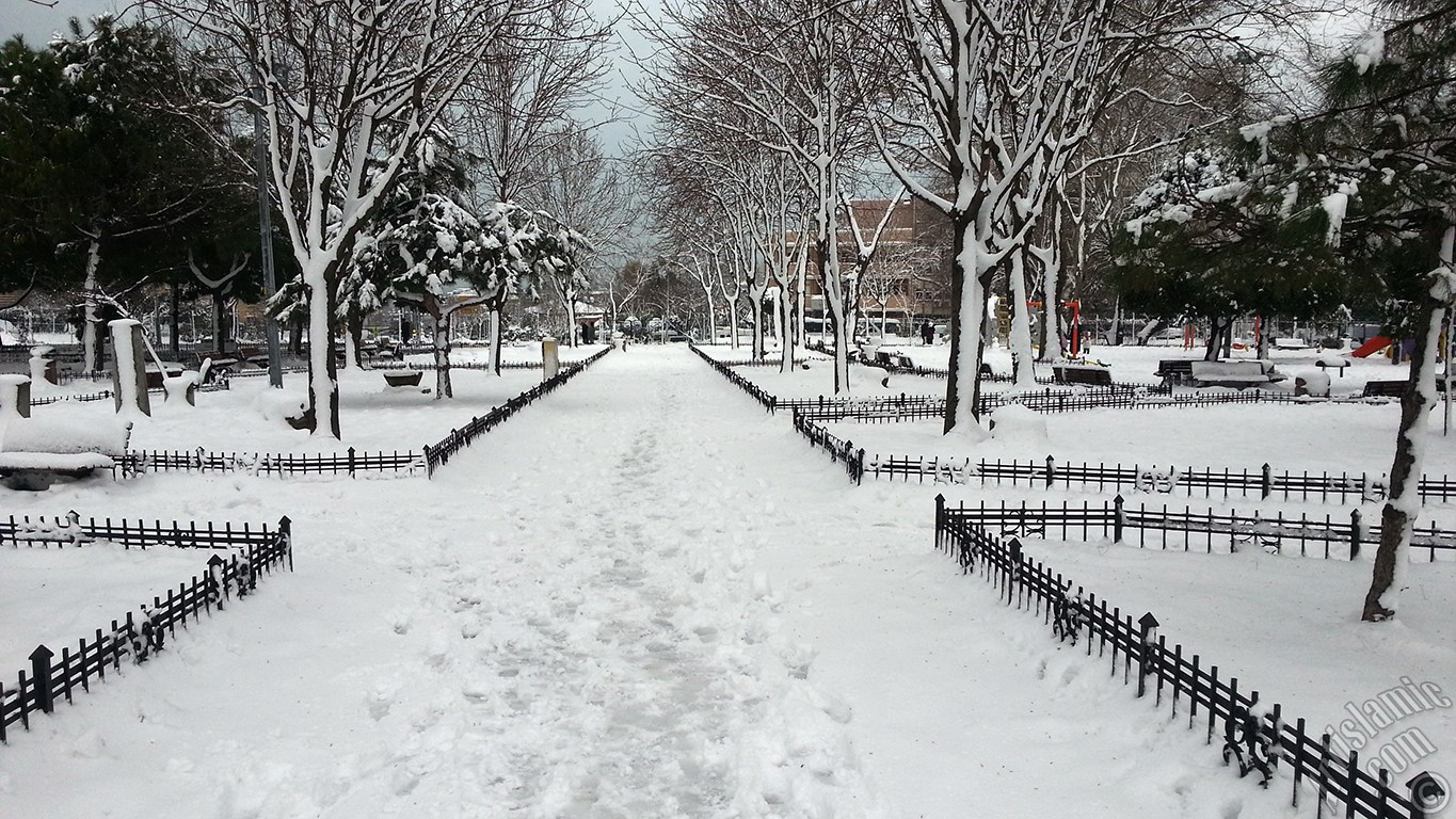 zel ekim kar ve k fotoraflarmz: stanbul`un Fatih, Zeyrek, Perembe Pazar, Eminn, Karaky, Cihangir, Fndkl ve Kabata Semtlerinden.
