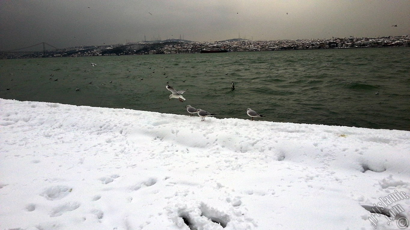 Special winter and snow photos taken in February 2015 in Fatih, Zeyrek, Persembe Pazari, Eminonu, Karakoy, Cihangir, Findikli, Kabatas districts of Istanbul city of Turkey.
